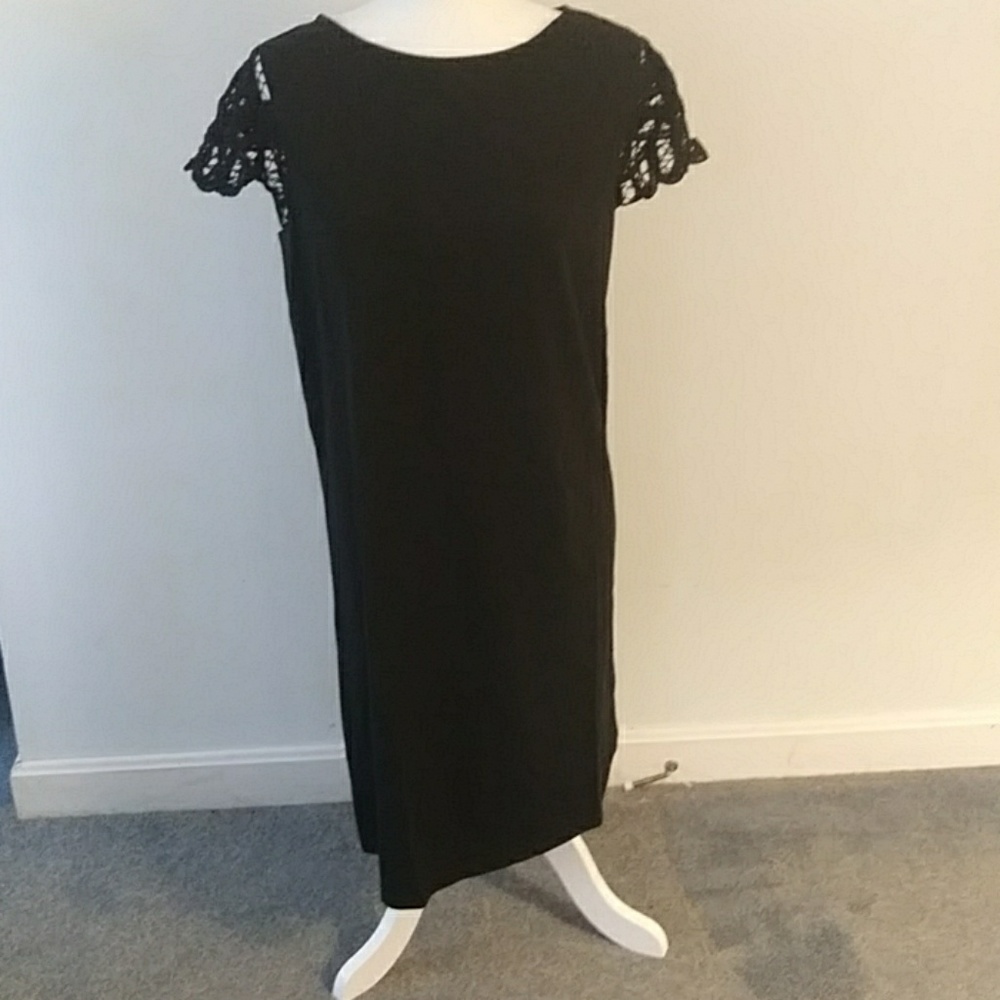 🌊NEW LIZ CLAIBORNE New York Casual Dress